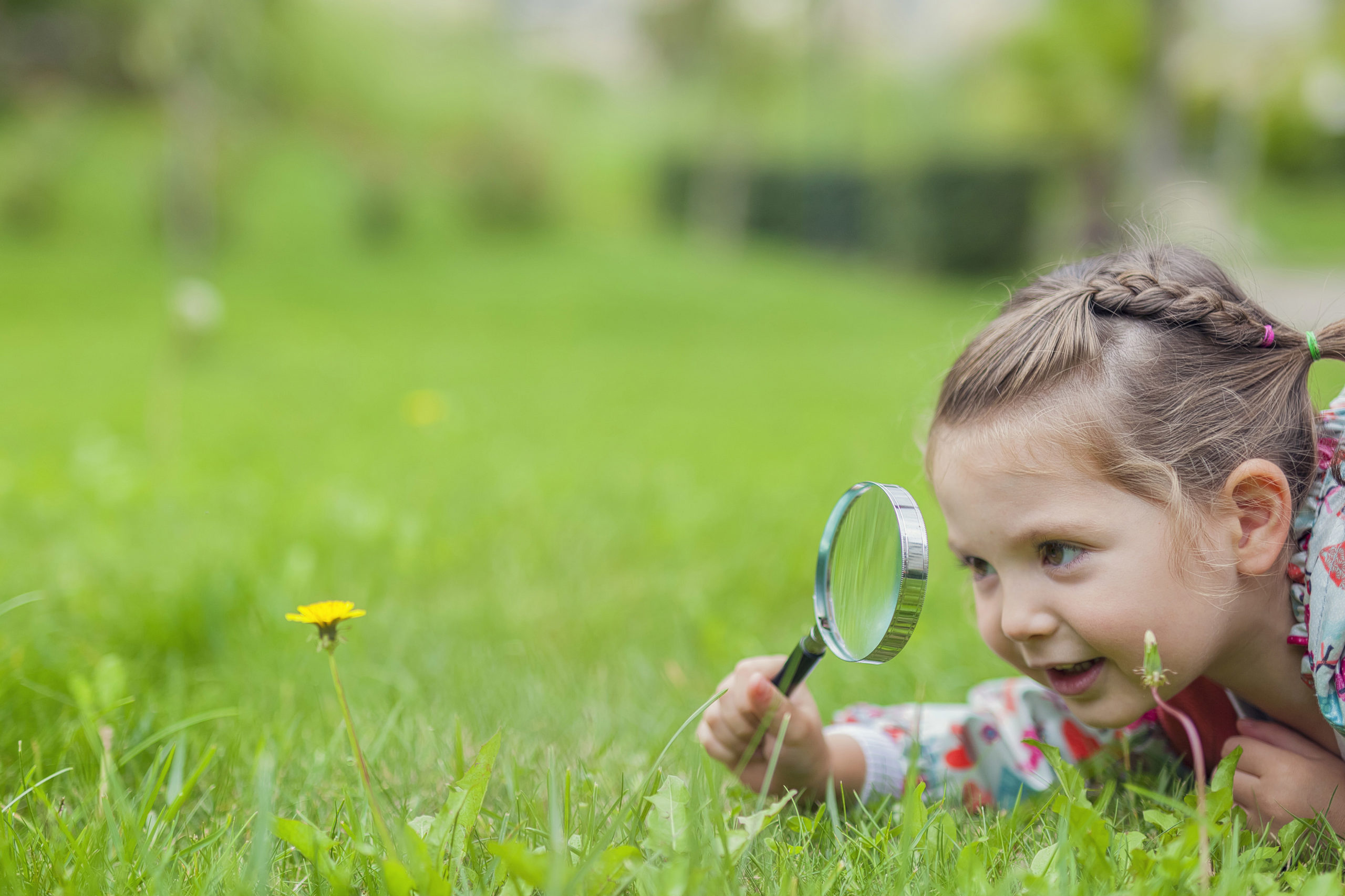 little cute girl with magnifying glass examining flower